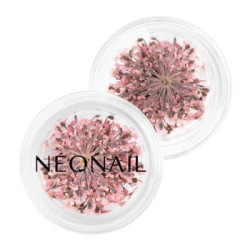 Decorazione Floreale per Unghie 01 Rosa